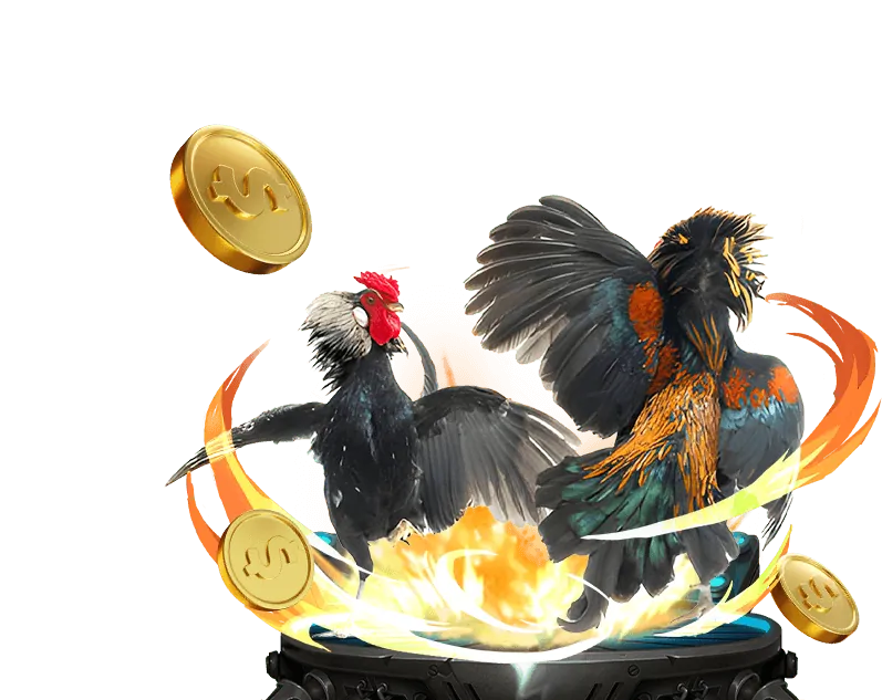 Hướng dẫn chơi game bài đổi thưởng trực tuyến tại RW88